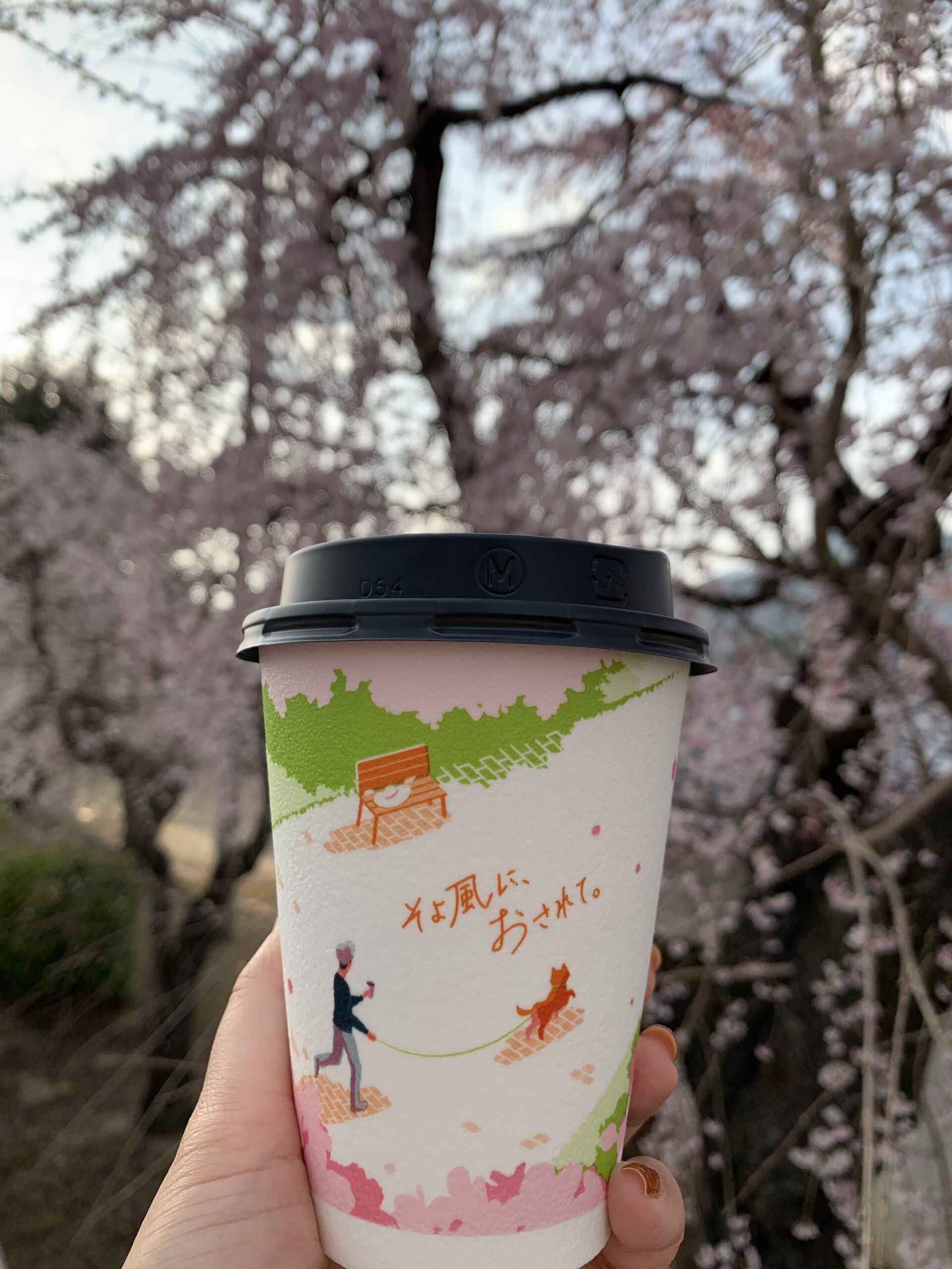【日常】ローソンで無料カフェラテ｜ポイントで楽しむお花見散歩