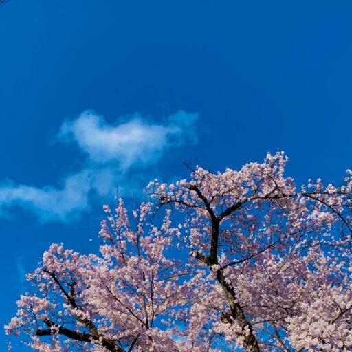 【株主優待】イオンラウンジ土岐を利用してみたよ｜ゆったり過ごせる無料休憩スポット